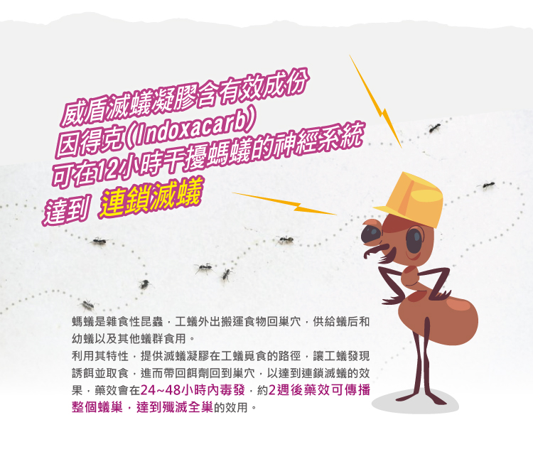 威盾滅蟻 商品詳情 3