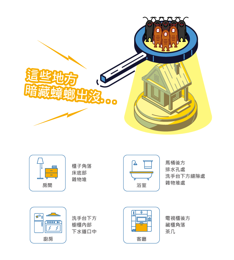 威盾滅蟑 商品詳情 3