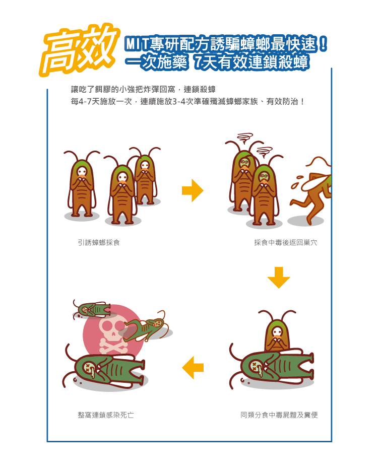 威盾滅蟑 商品詳情 5